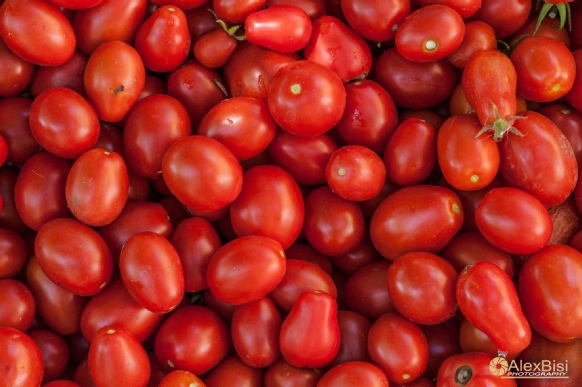 Arta Gustului, Gabriella Pascaru Bisi, conserve, Zacuscareala si alte nebunii delicioase