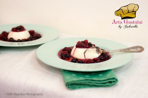 Arta gustului, Desert, Desert rapid, Gabriella Pascaru Bisi, Meggle, Panna cotta cu sos din fructe rosii cu vin rosu si ghimbir, Panna Cotta Meggle