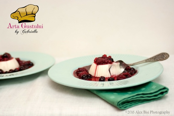 Arta gustului, Desert, Desert rapid, Gabriella Pascaru Bisi, Meggle, Panna cotta cu sos din fructe rosii cu vin rosu si ghimbir, Panna Cotta Meggle