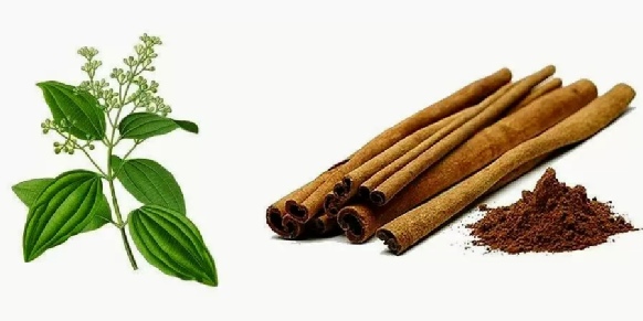 scortisoara Arta gustului, Gabriella Pascaru Bisi, Istorii gastronomice, Scortisoara, mirodenie regeasca